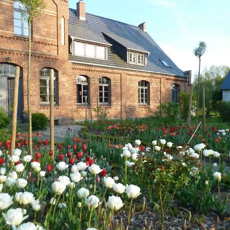 Gutshaus Altbauhof Appartement Dargun Buitenkant foto
